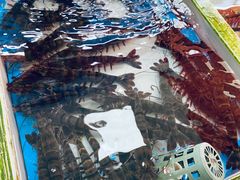 -南沙十九涌渔人码头-南门