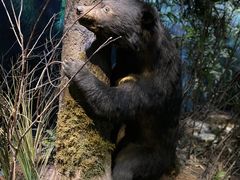 -陕西自然博物馆