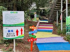 -芦仙山景区-飞越丛林探险乐园