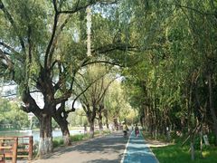 -万泉公园