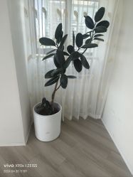 -HEYAN荷妍专业脱毛连锁机构
