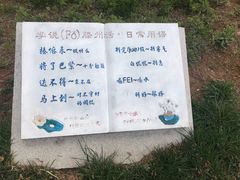 -微山湖红荷湿地景区