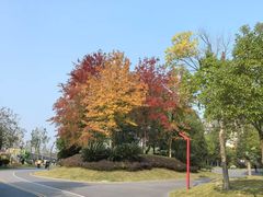 -眉山湿地公园(东坡区)
