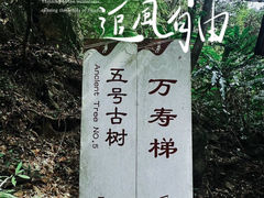 -南丹山森林王国