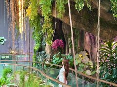 -正佳雨林生态植物园