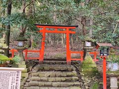 -奈良公园