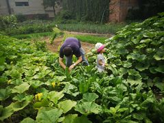 -海底捞火锅(龙湖北京大兴天街店)