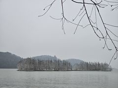 -东湖落雁景区