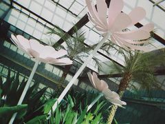 -奈雪的茶(skp店)