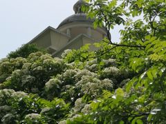 -南京珍珠泉风景区