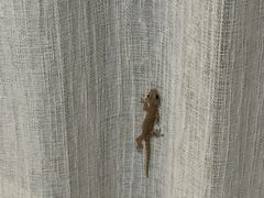 -抚仙湖万达文华酒店