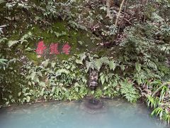 -十八棵（老龙井）御茶园(老龙井店)