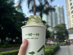 -一树一叶·福建茶档(石鼓路店)