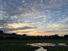-白鹭湾湿地公园