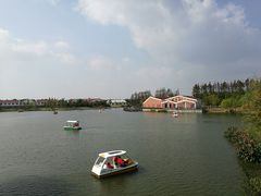 -上海长兴岛郊野公园