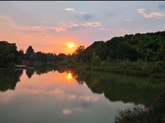 -白鹭湾湿地公园