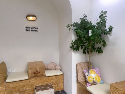 -Hair Co.一间沙龙