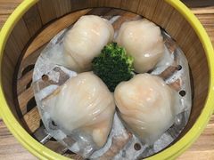 -粤港餐厅(禹州商业广场店)