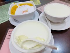 -南信牛奶甜品专家