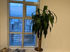 -漪龙台·B26 Rooftop Lounge