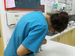 -创凡宠物医院·骨专科  猫科中心(西乡分院)