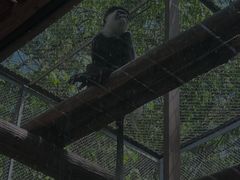 -合肥野生动物园