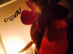 -CLUB VIVA(购物公园店)
