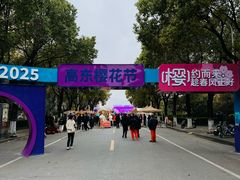 -高东镇樱花园