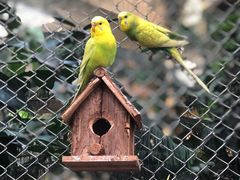 -南宫五洲植物乐园