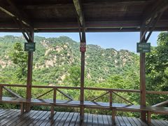 -大岭沟猕猴桃谷风景区