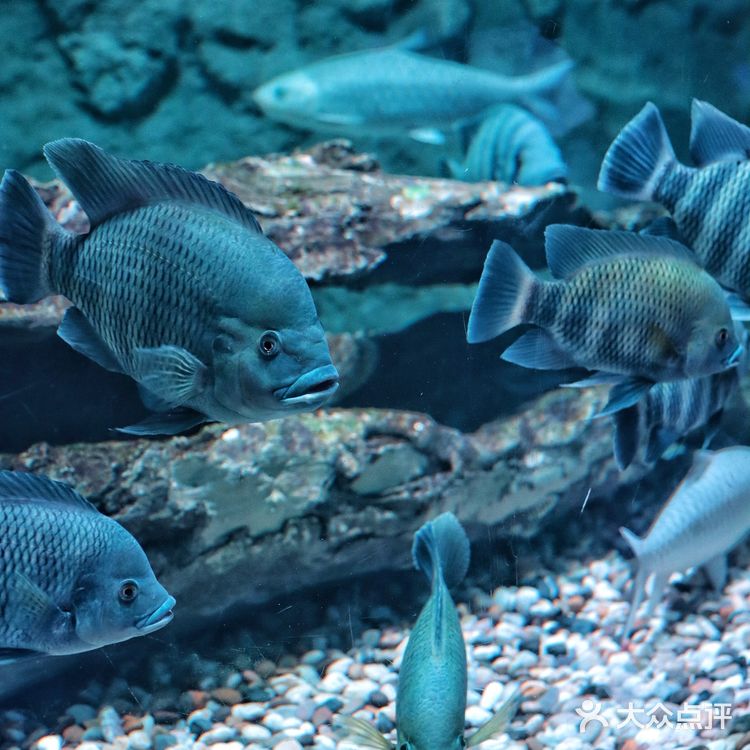 溜娃好去处｜🐠正佳极地海洋世界好玩又好睇