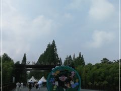 -黄海国家森林公园