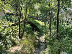 -玉渡山自然风景区