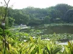 -云溪植物园