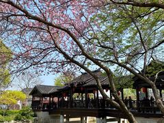 -枫桥景区