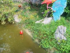 -上海野生动物园
