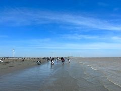 -启东黄金海滩景区
