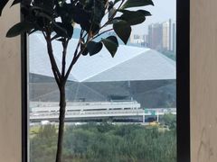 -皇朝万鑫自助餐厅