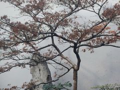 -胡雪岩故居