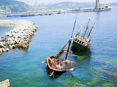-大连老虎滩海洋公园