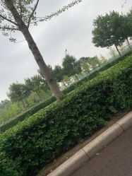 -HEYAN长风荷妍专业脱毛美肤
