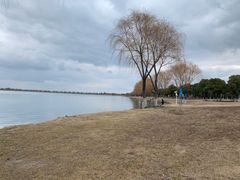 -漕湖湿地公园
