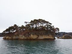 -松岛