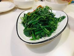 农家丝瓜苗-火齐潮汕砂锅粥(五道口店)