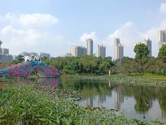 -映月湖公园
