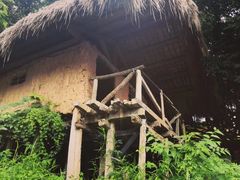 -亚龙湾热带天堂森林公园