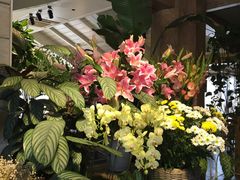 -春暖花开(西溪店)