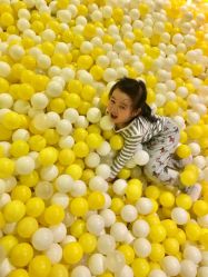 -宝燕乐园(闵行旗舰店)