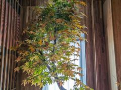 -河风の幸会精致料理