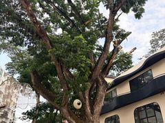 -瓦洛洛传统市场